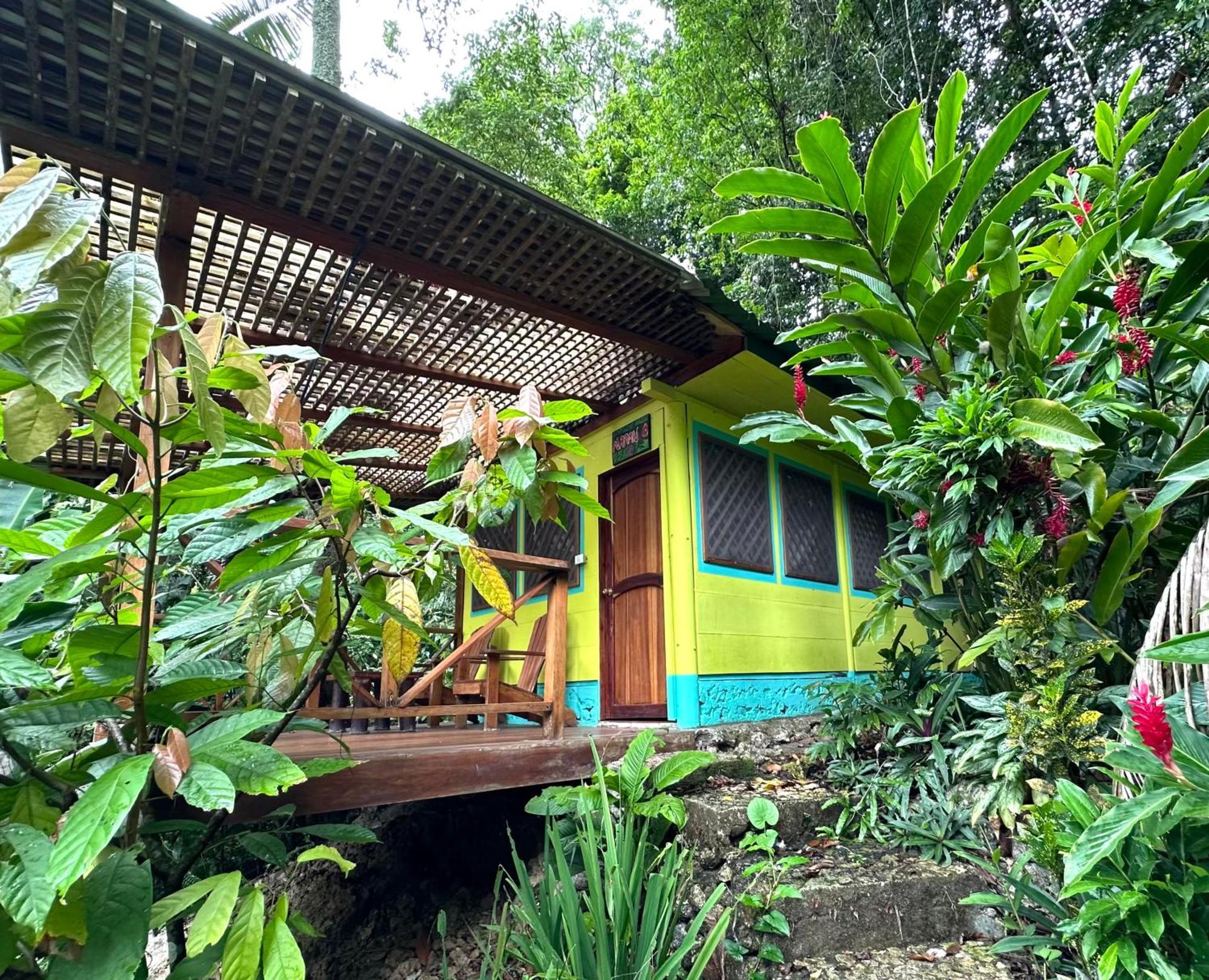 Palmeras Del Rio Hotel La Vina 外观 照片