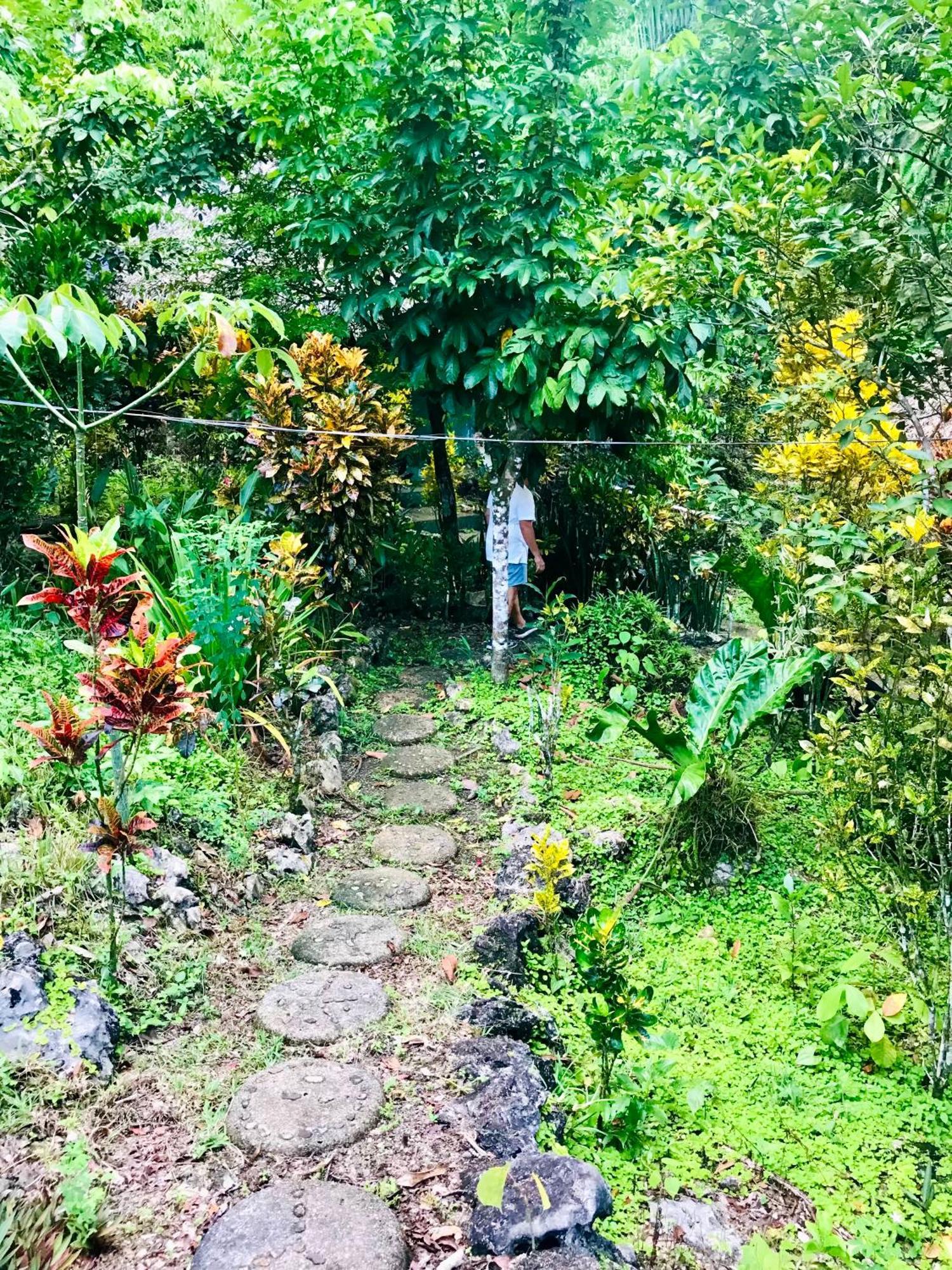 Palmeras Del Rio Hotel La Vina 外观 照片