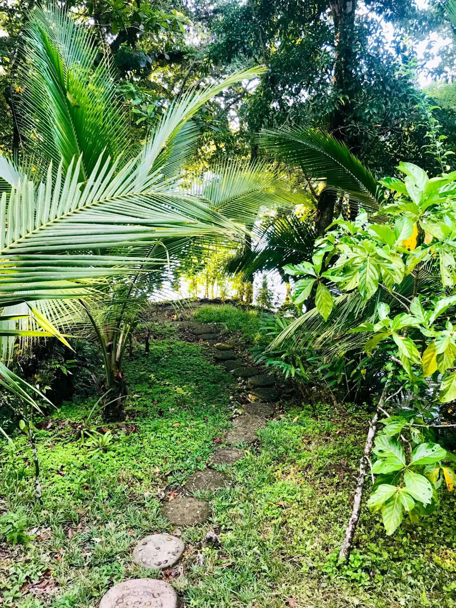 Palmeras Del Rio Hotel La Vina 外观 照片