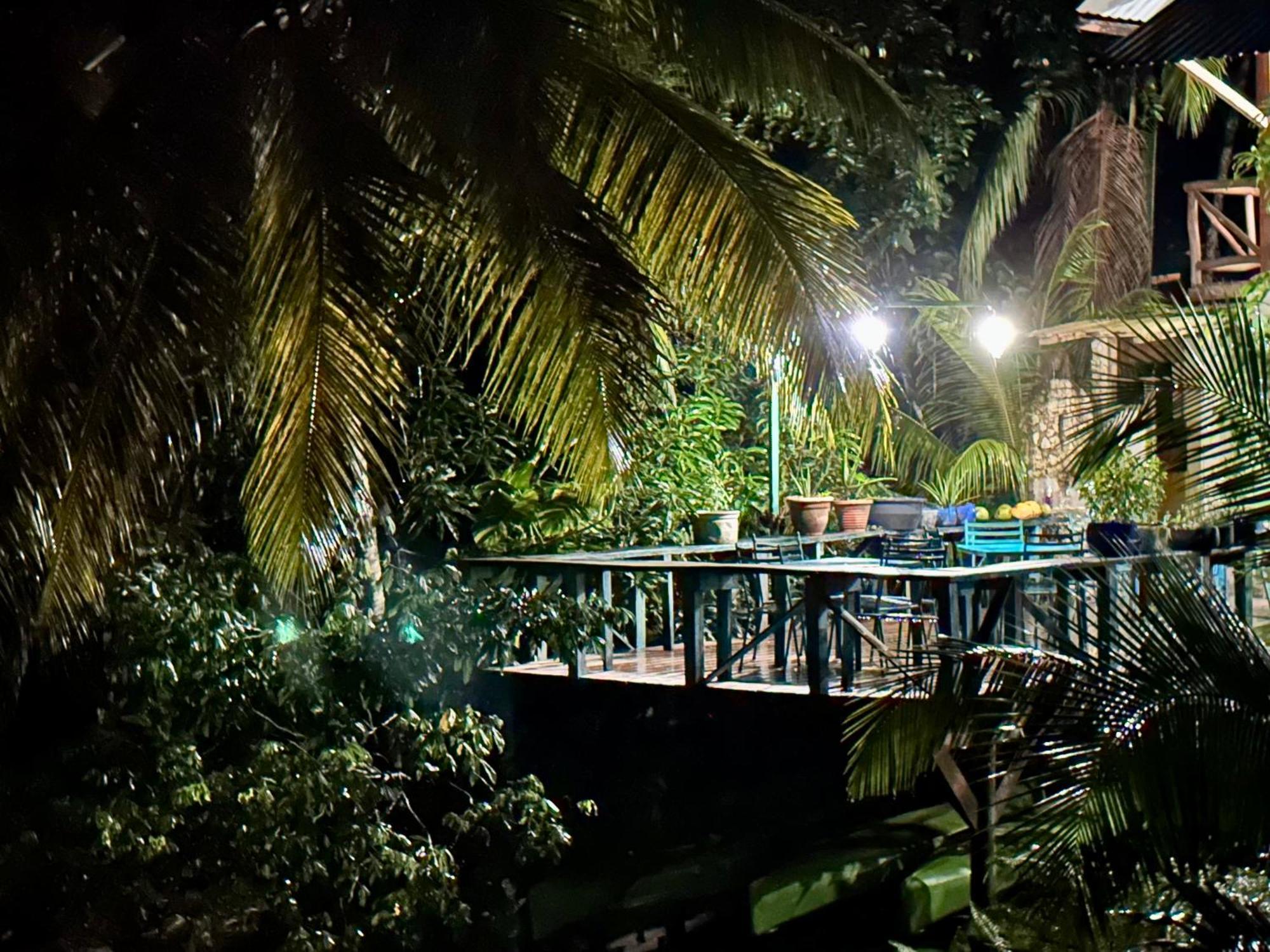 Palmeras Del Rio Hotel La Vina 外观 照片